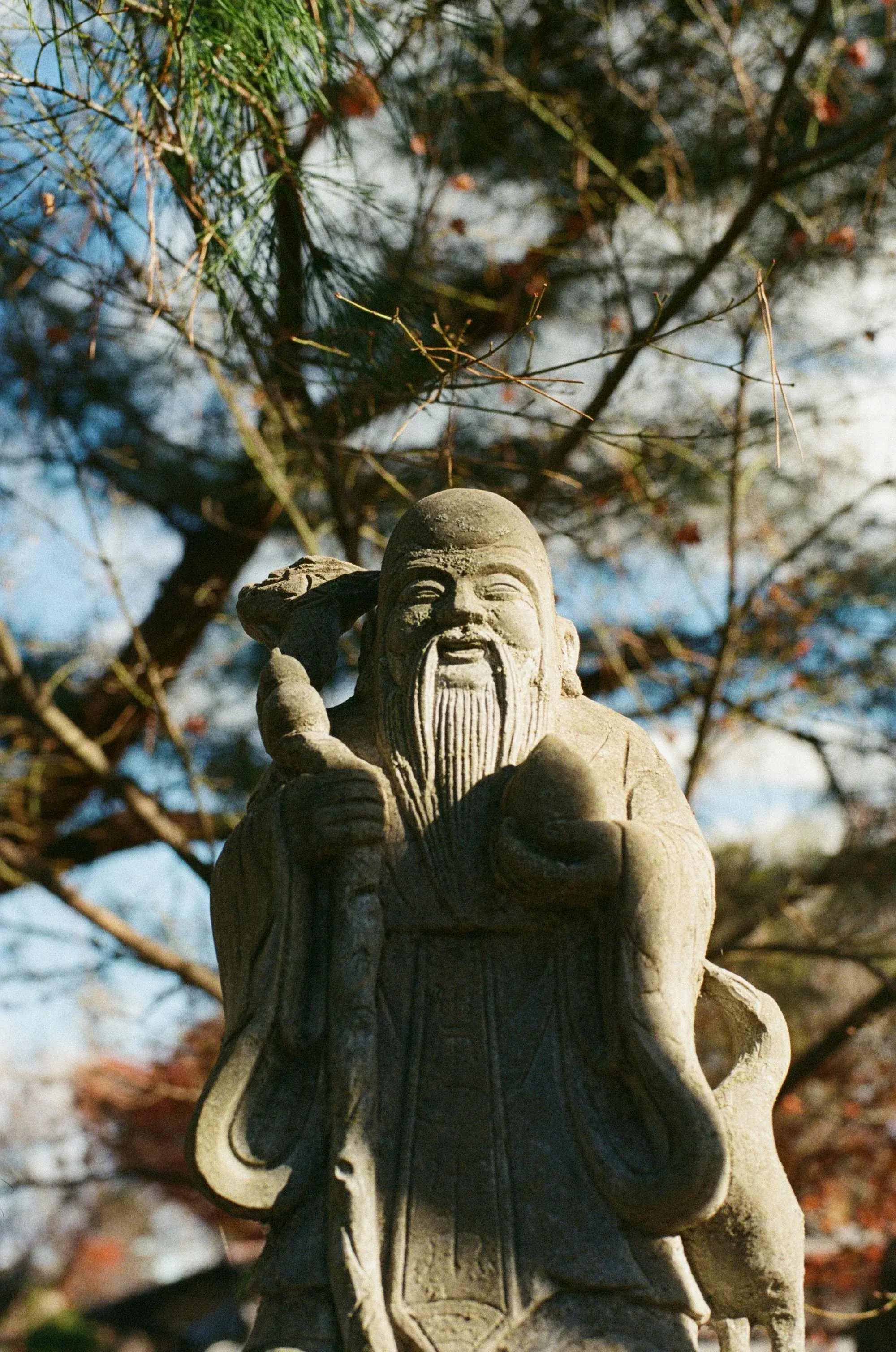 壽星入廟格 - 天梁坐命於子午位｜安迪論命紫微斗數