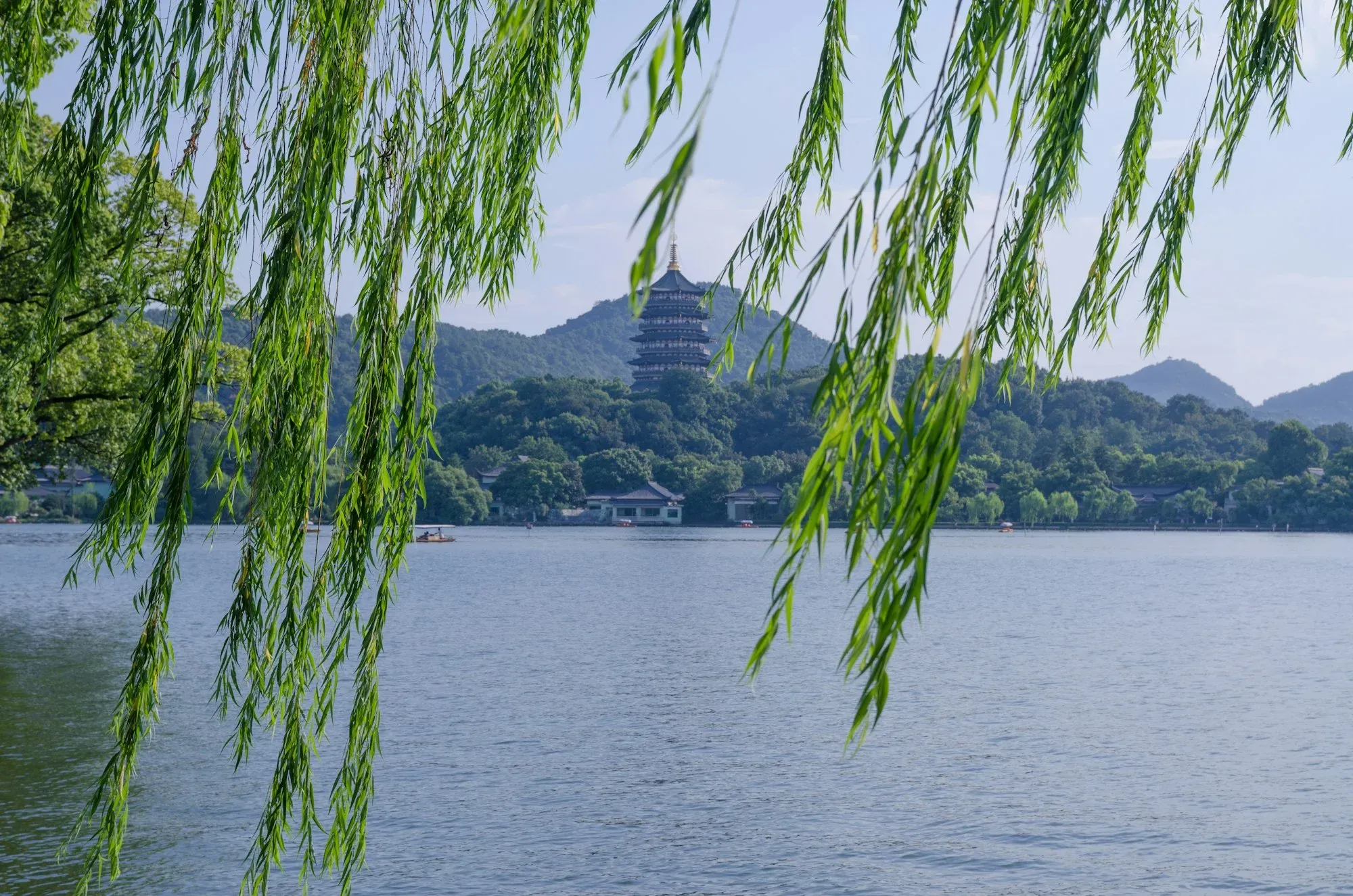 水木清華格（探花格）- 天機太陰同宮寅申位｜安迪論命紫微斗數