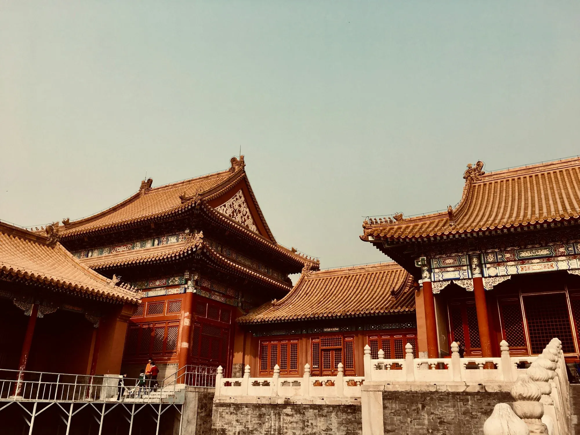 紫微星完全指南：尊貴與面子的星曜，在財帛宮代表很有錢嗎？｜安迪論命紫微斗數